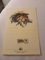WWF - Edition d'épreuve officielle - serpent de Jamaïque!