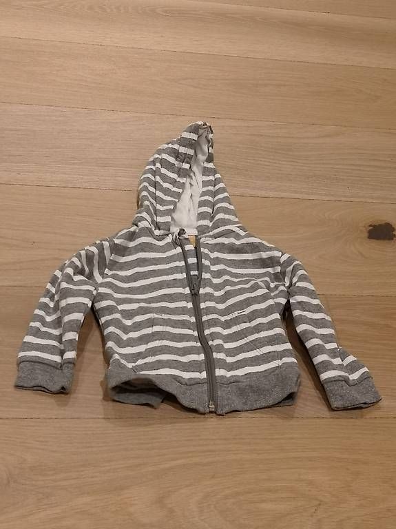 Maglioni & Felpe: Kapuzenpullover Grösse 80 – Usato da Oberrohrdorf venduto da Hoto