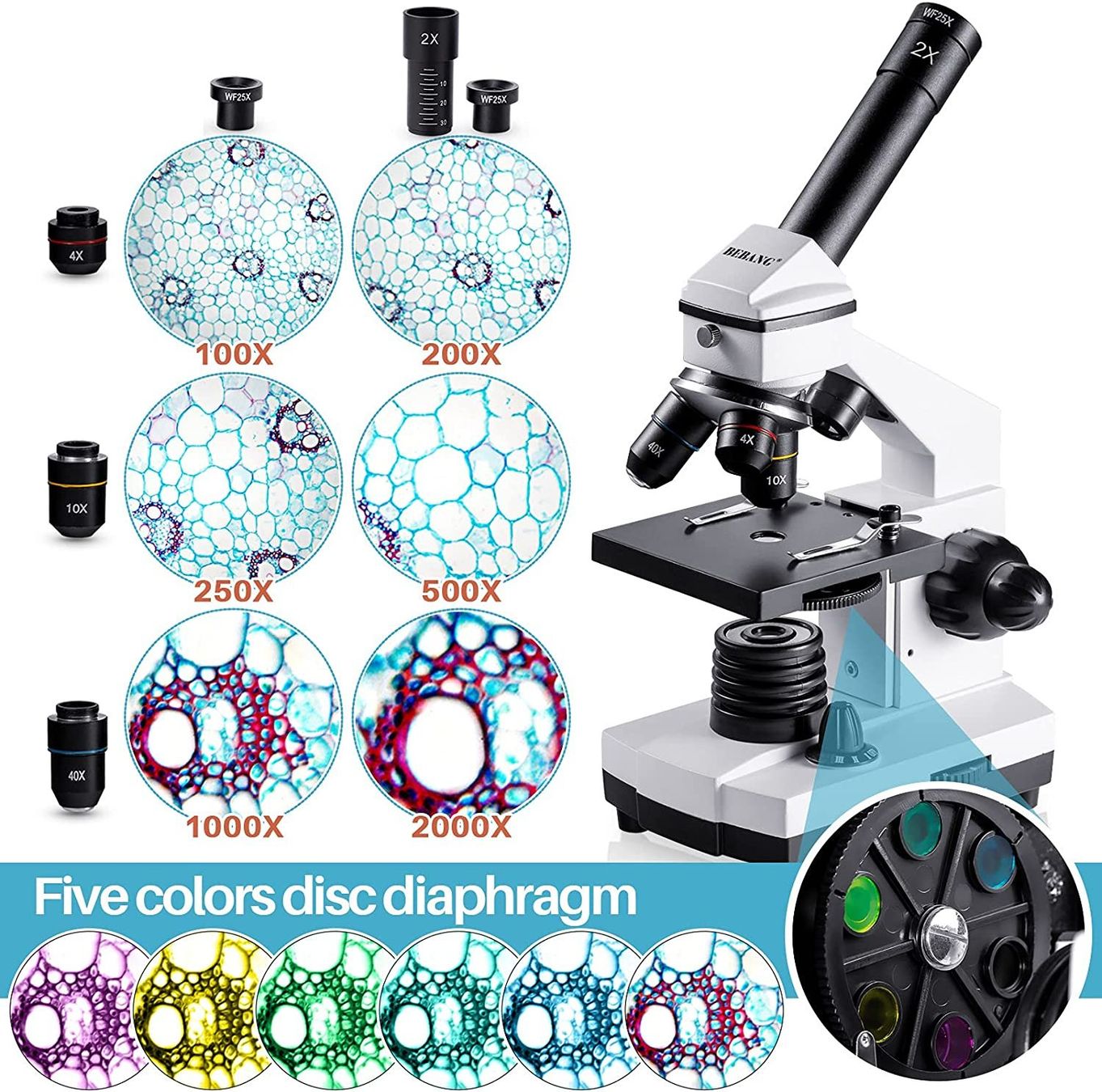 Microscopi: Mikroskop Optisch 100x-2000x mit Objektträger Set LED Licht – Nuovo e nell'imballaggio originale da Basel venduto da EchoPeak 1