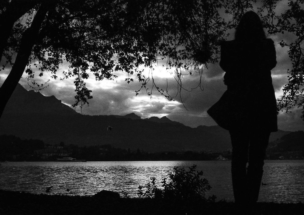 Rollei Appareil photo: Rolleiflex SL 2000 F – D'occasion à Uster par Stoessda 6