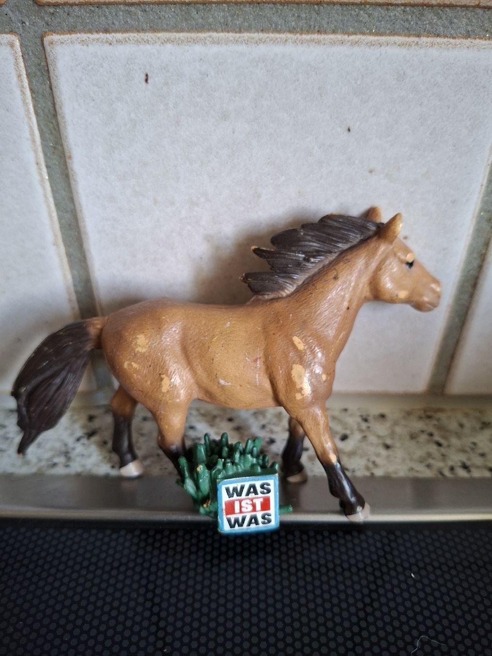 Tonies Figuren: Tonie Was ist Was? Pferde – Gebraucht aus Rorbas von rtu_nn2c
