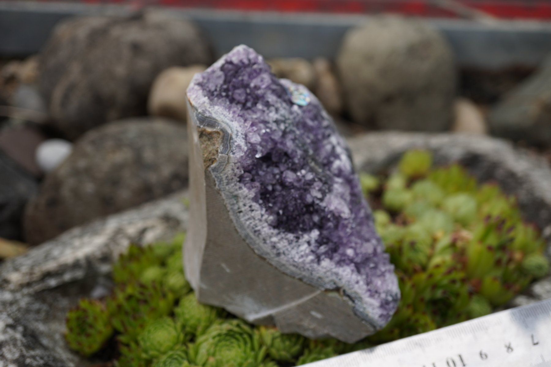 Minerali & Pietre curative: Amethyst Drusen Stück    620g  Topstone  ab  10.- – Nuovo e nell'imballaggio originale da Eschenbach SG venduto da topstone 3