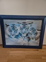 Hologrammbild 3 weisse Tiger