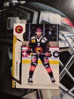 Lukas Klok SC Bern Sportzoo 2024/25