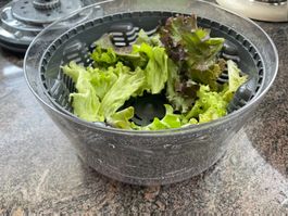 Zylizz Salatschleuder Easy Spin S Grau