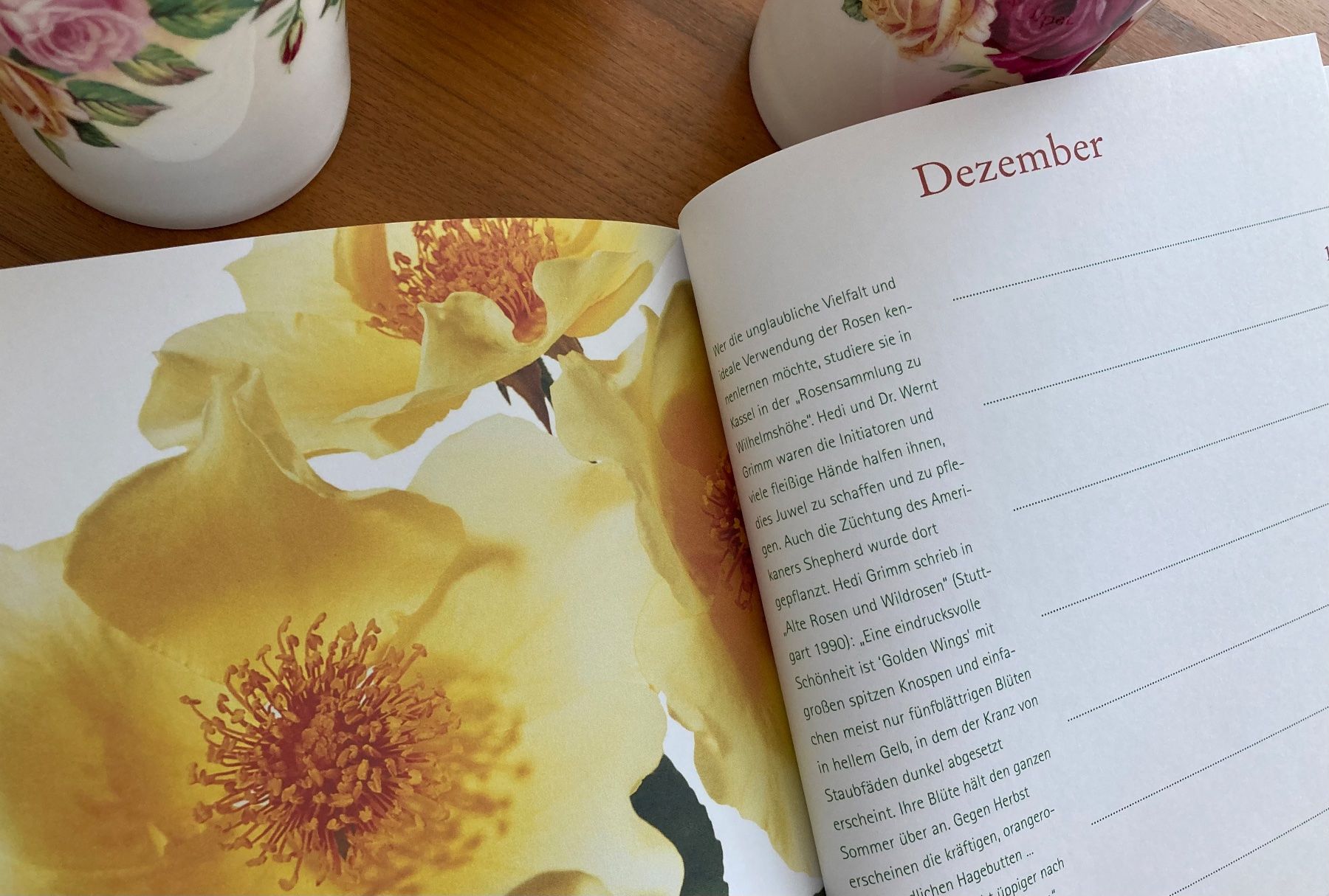 Calendari: Buch "Die ewige Rose" Ein immerwährender Kalender – Usato da Grüt (Gossau ZH) venduto da Air8k3m 2