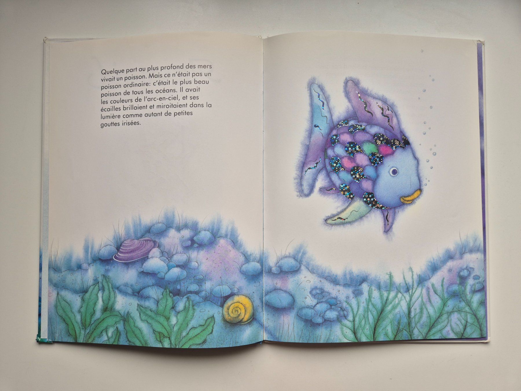 Bücher: Arc en ciel / Der Regenbogenfisch    🌈🐟 – Gebraucht aus Niederweningen von Obson 1