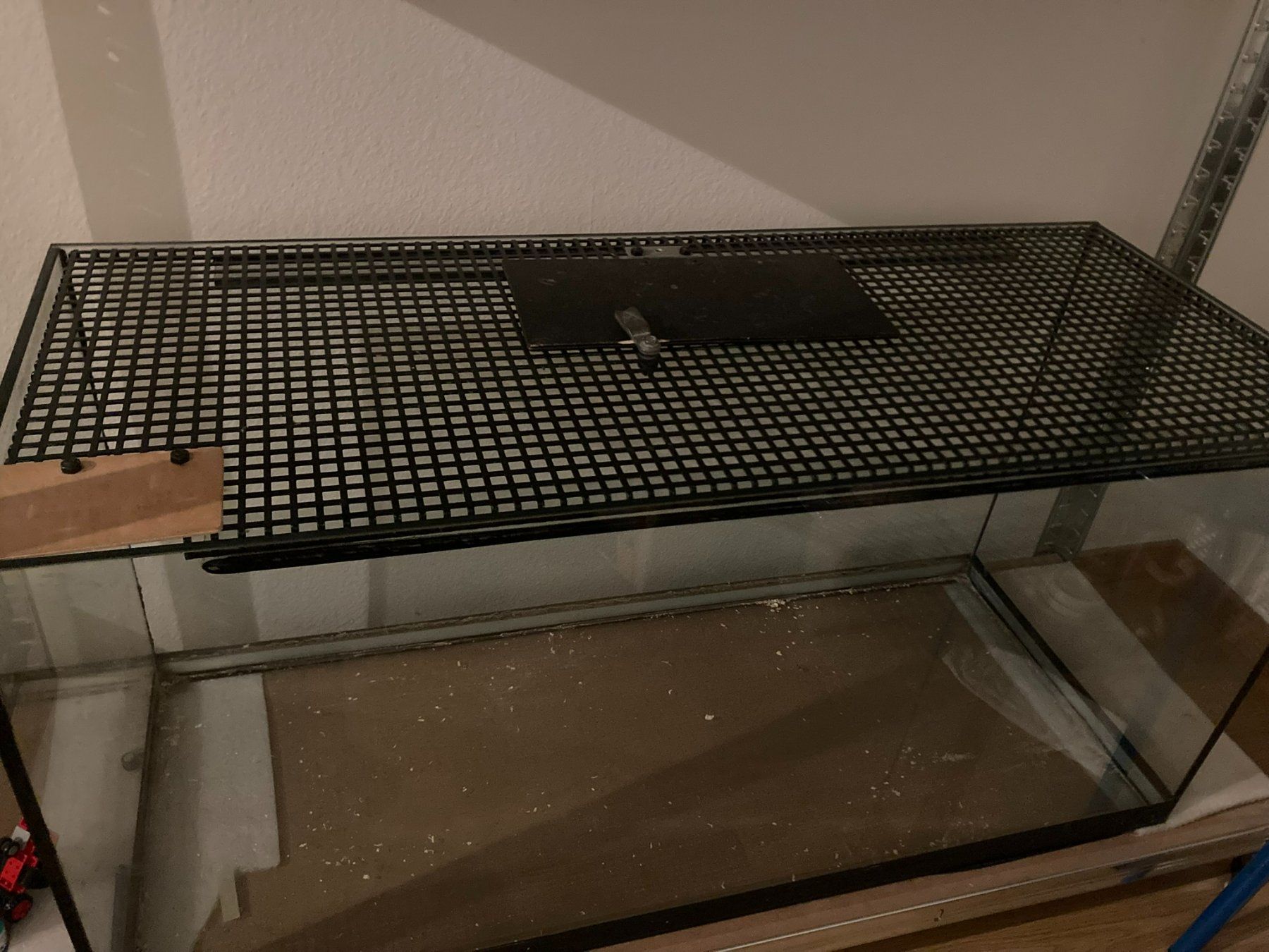 Terrarium: Terrarium – Gebraucht aus Niederscherli von ypsilon315 1