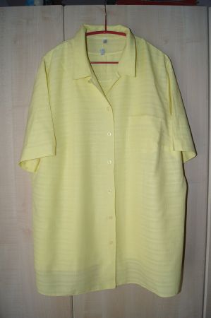 Bluse und Top Gr. 50