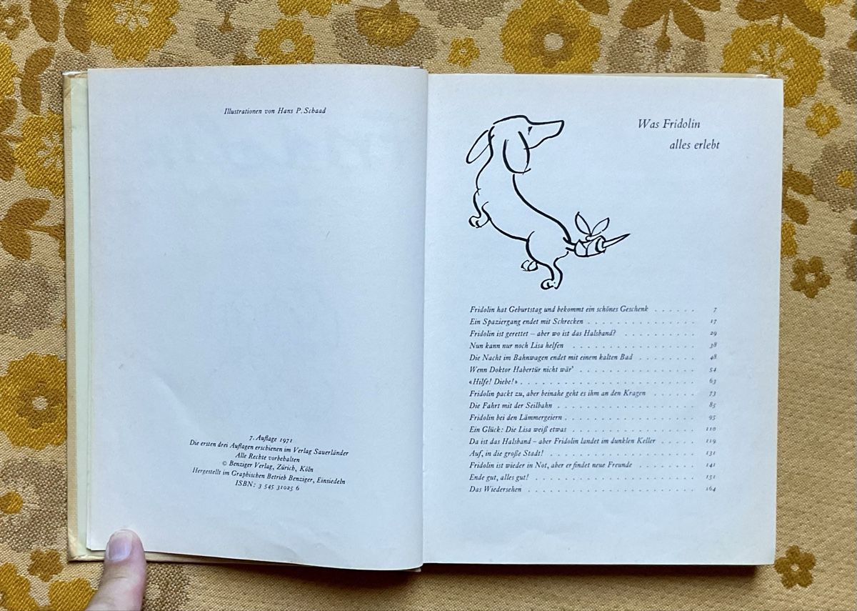 Libri: Fridolin Kinderbuch 1971 – Usato da Endingen venduto da nathan05 6