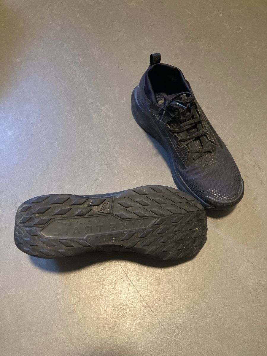 Nike Scarpe da uomo: Nike Pegasus trail 5 gore-tex – Usato da Zürich venduto da Mr.Panenka 3