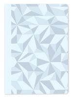 CC0454.025 * Alpine Frost Caran d'Ache * Notizbuch A5