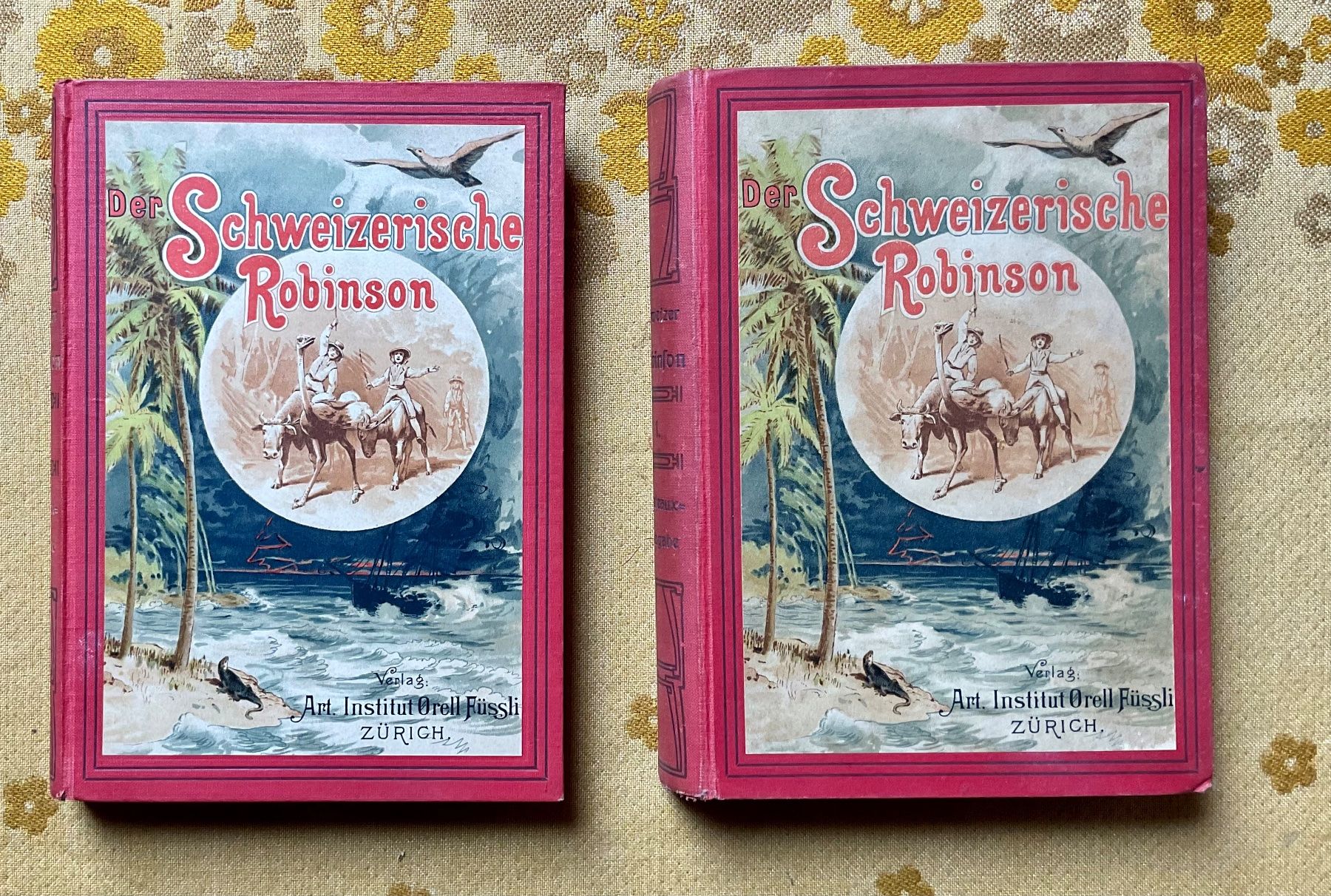 Libri: 2 Bücher Der Schweizerische Robinson von 1895 – Usato da Endingen venduto da nathan05