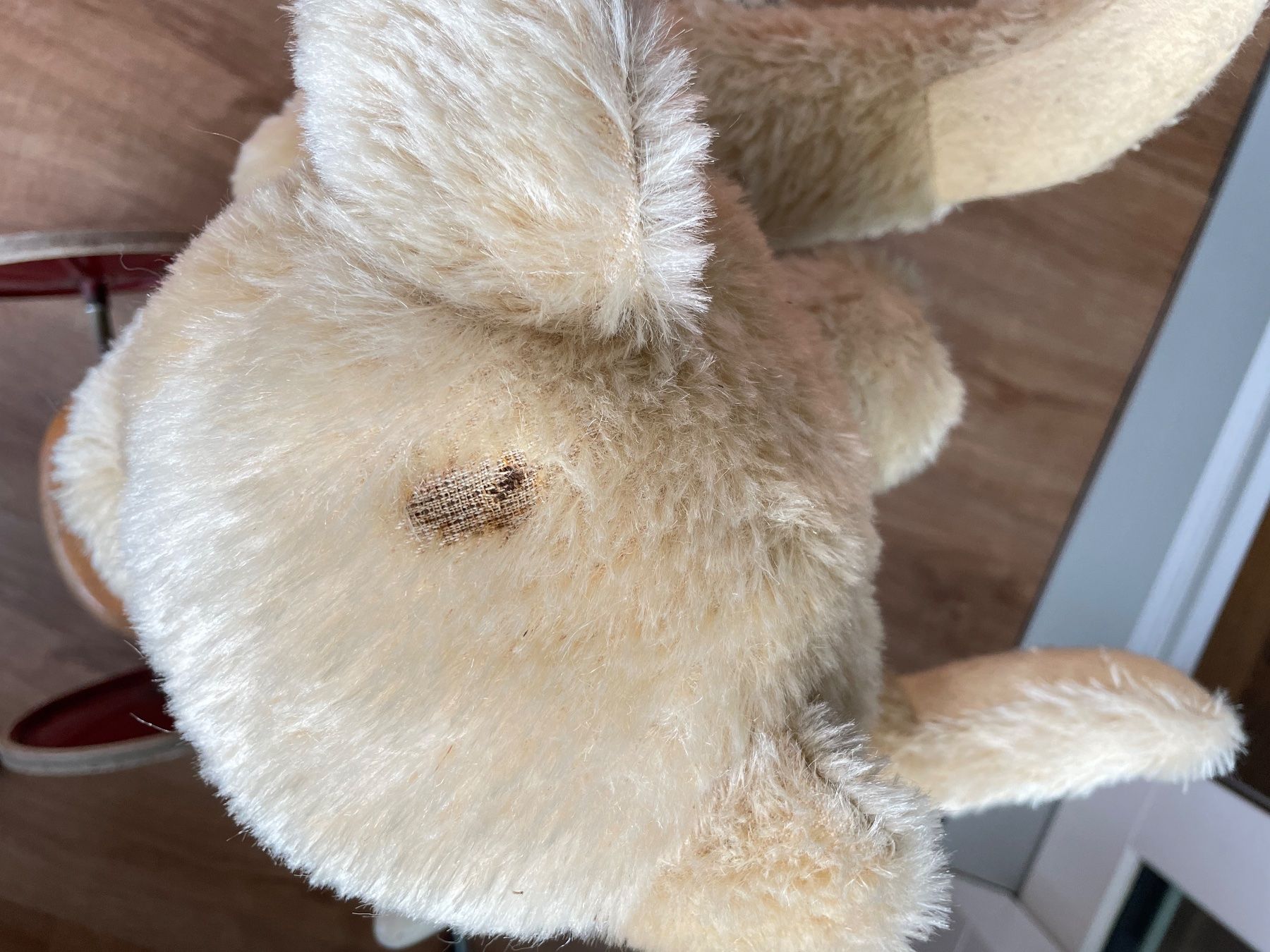Giocattoli: Teddy "Martin" von Clemens – Nuovo (secondo la descrizione) da BÜLACH venduto da arun8184 2