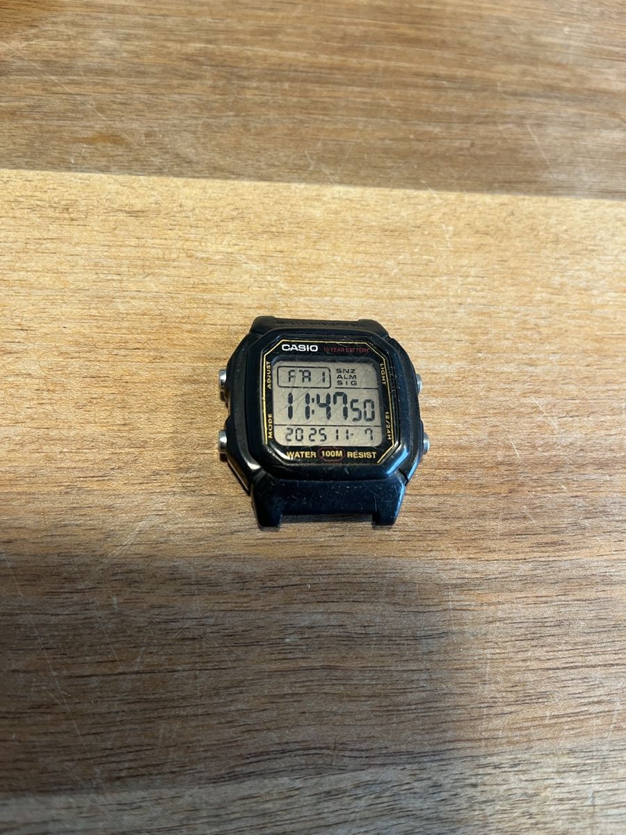 Casio Orologi: Casio W800H – Usato da Würenlos venduto da jam_mv8g