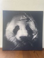 Leinwandbild Panda schwarz-weiss grossformatig guter Zustand