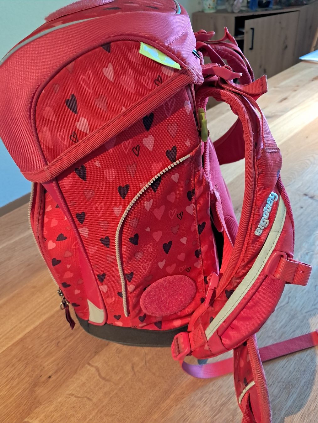 Kindertaschen: Ergobag Schulrucksack mit Turnbeutel und Kletties  – Gebraucht aus Signau von 87sue 1