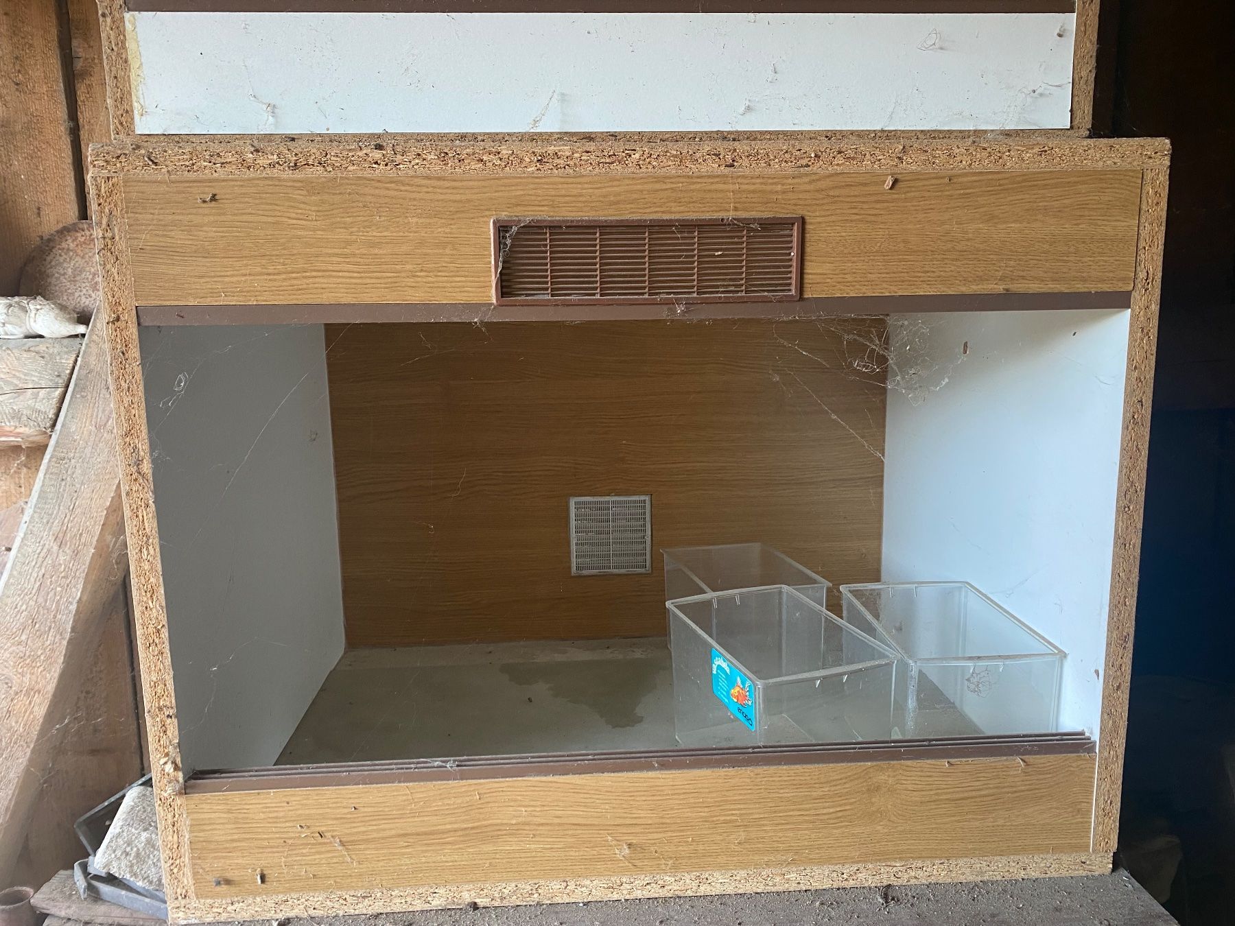 Terrario: 1 von 4 Terrarium – Usato da Rümlang venduto da Maori01 2