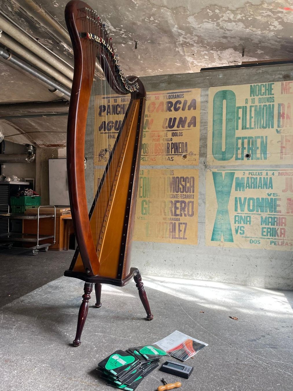 Strumenti musicali: Harfe - Aoyama Harp – Usato da Kreuzlingen venduto da sop_yn89