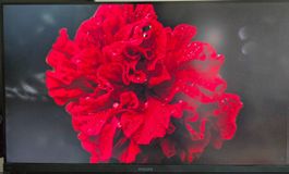 Philips 276C8 27" QHD Monitor (2560x1440)
