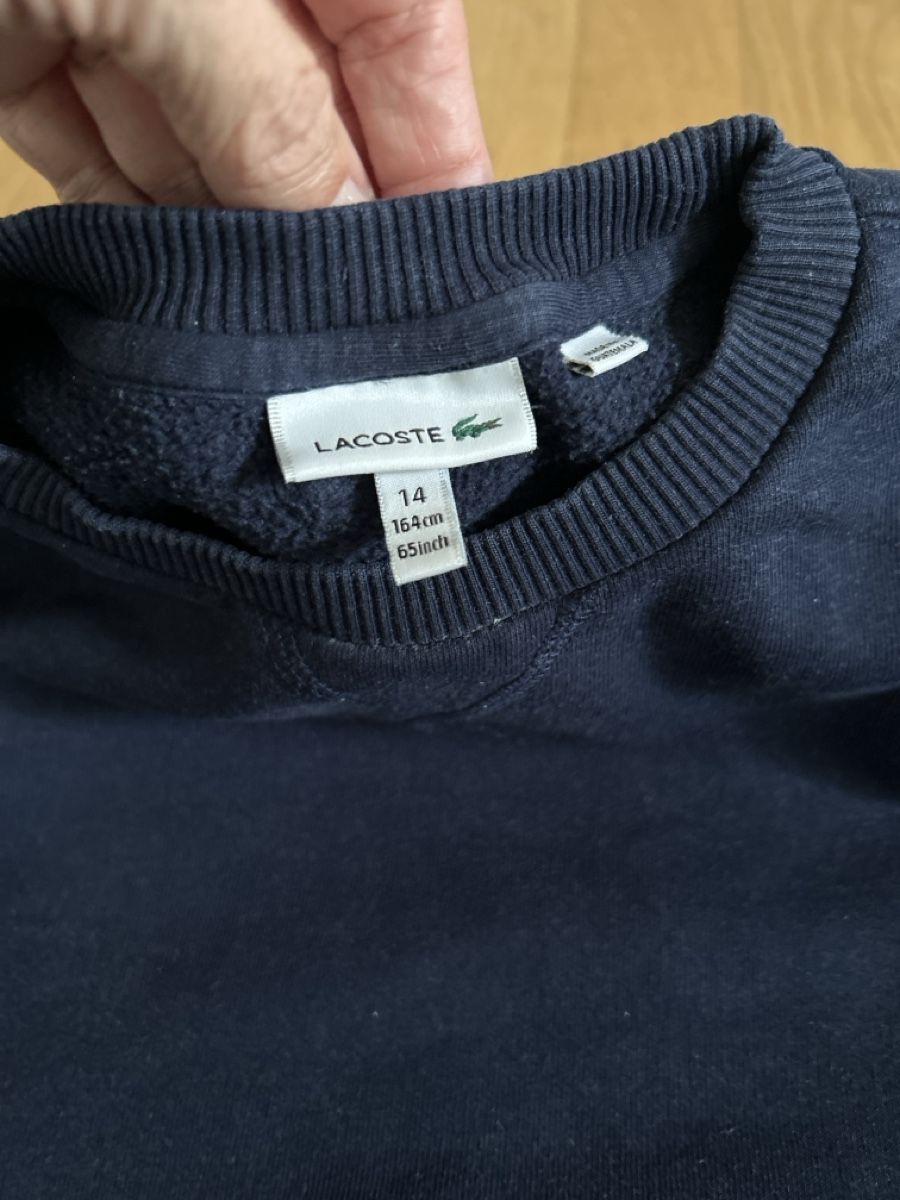 Lacoste Maglioni & Felpe: Lacoste 164 cotton – Usato da Adliswil venduto da mollymoo 1