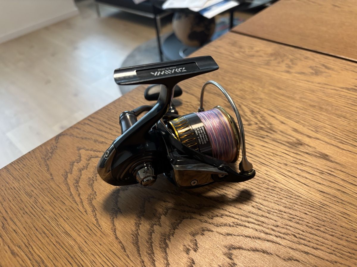 Daiwa Tamburi & Mulinelli: Angelrolle Daiwa Certate HD 3500 – Usato da Erlach venduto da Louis022 3