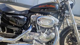Harley-Davidson XL883L