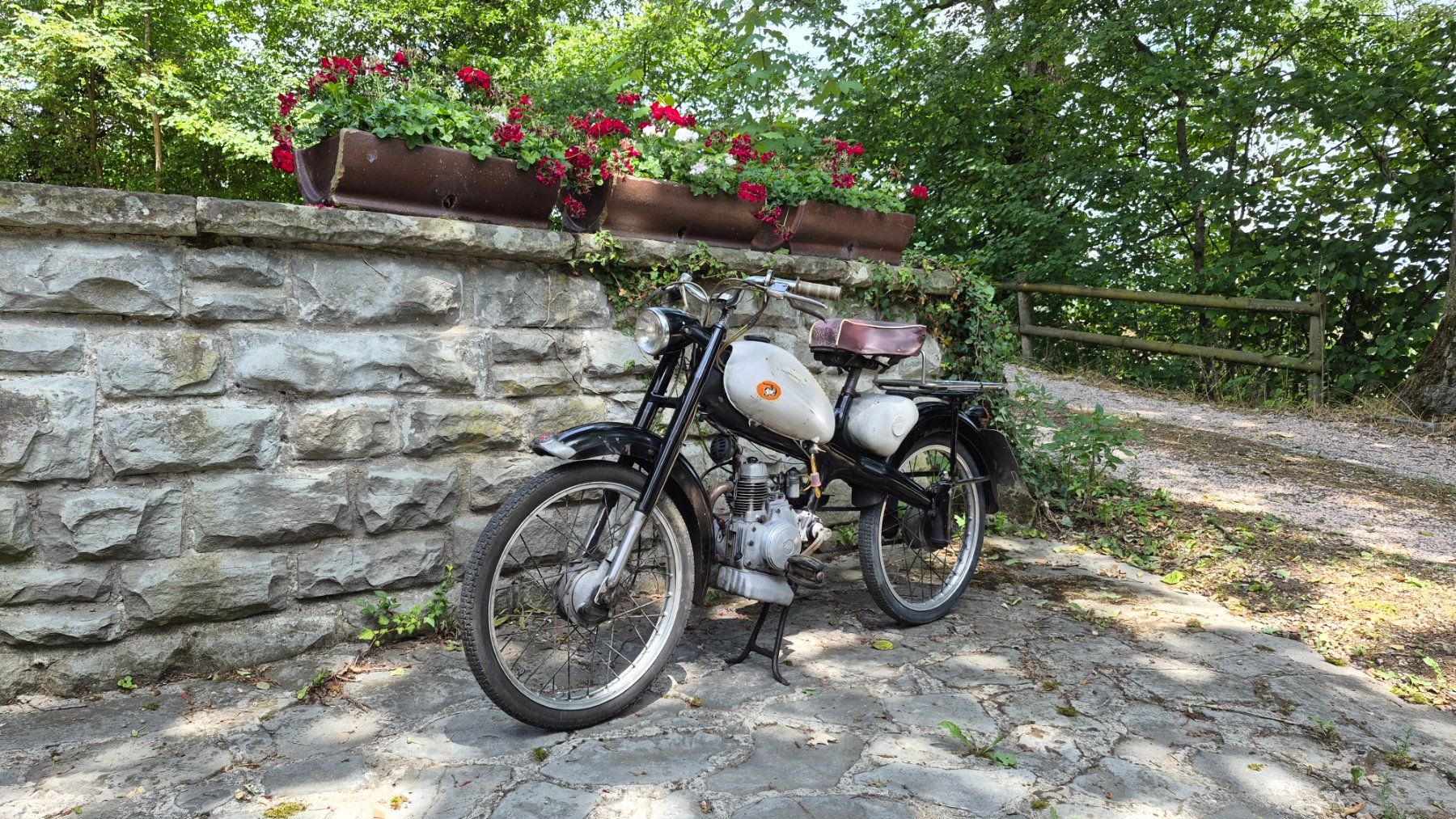 Motom Strada: Motom Superelle 48 L – Usato da Buhwil venduto da Donron0 4