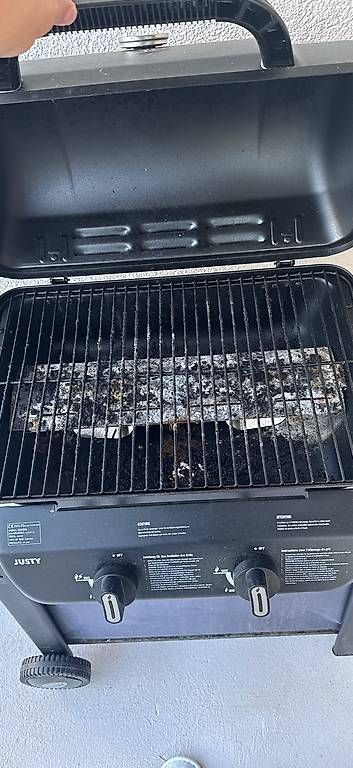 Griglie: Justy Gas Grill – Usato da Egliswil venduto da ShoppingTown 1