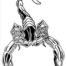 Profile image of ScorPionRaCing