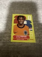 NED 8 , FIFA WORLD CUP 2026 PANINI 