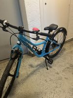 Naloo Chameleon 24“ Türkis, frisch ab Service, Top Zustand.
