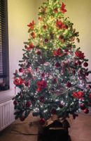 Triumph Tree de Luxe Wood Spruce 120 cm