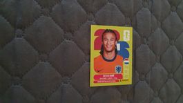 Panini WM 2026 - NED 7