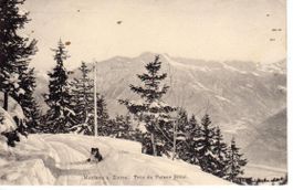 Montana s. Sierre mit Collie 1912