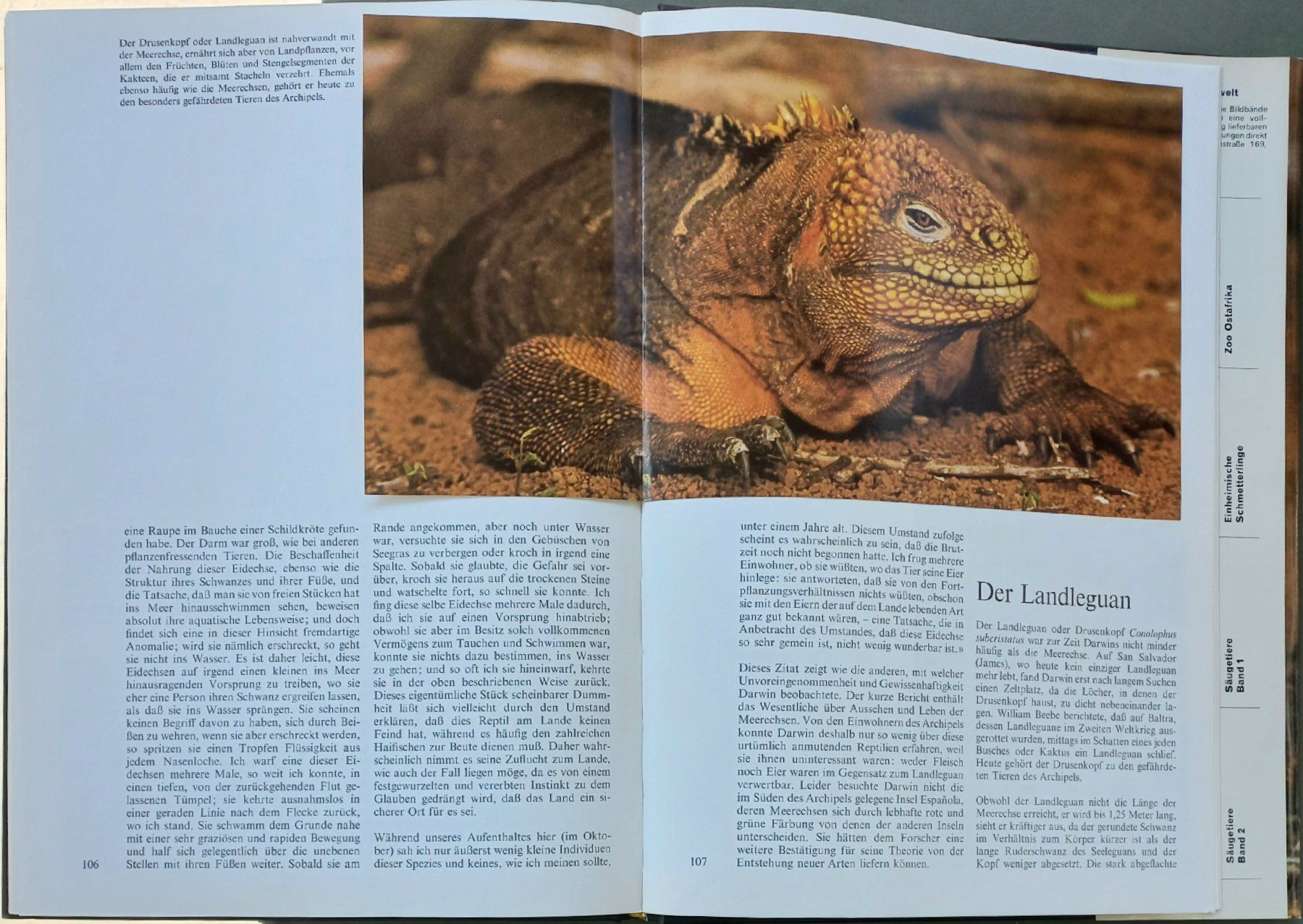 Bücher: Buch - Zoo Galapagos - Silva-Verlag – Gebraucht aus Niederuzwil von lubimaja 6