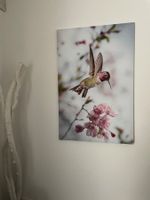 Schönes XL Leinwandbild Kolibri