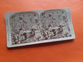 STEREOPHOTO - COTTON is KING - BAUMWOLLE - GEORGIA USA -1895