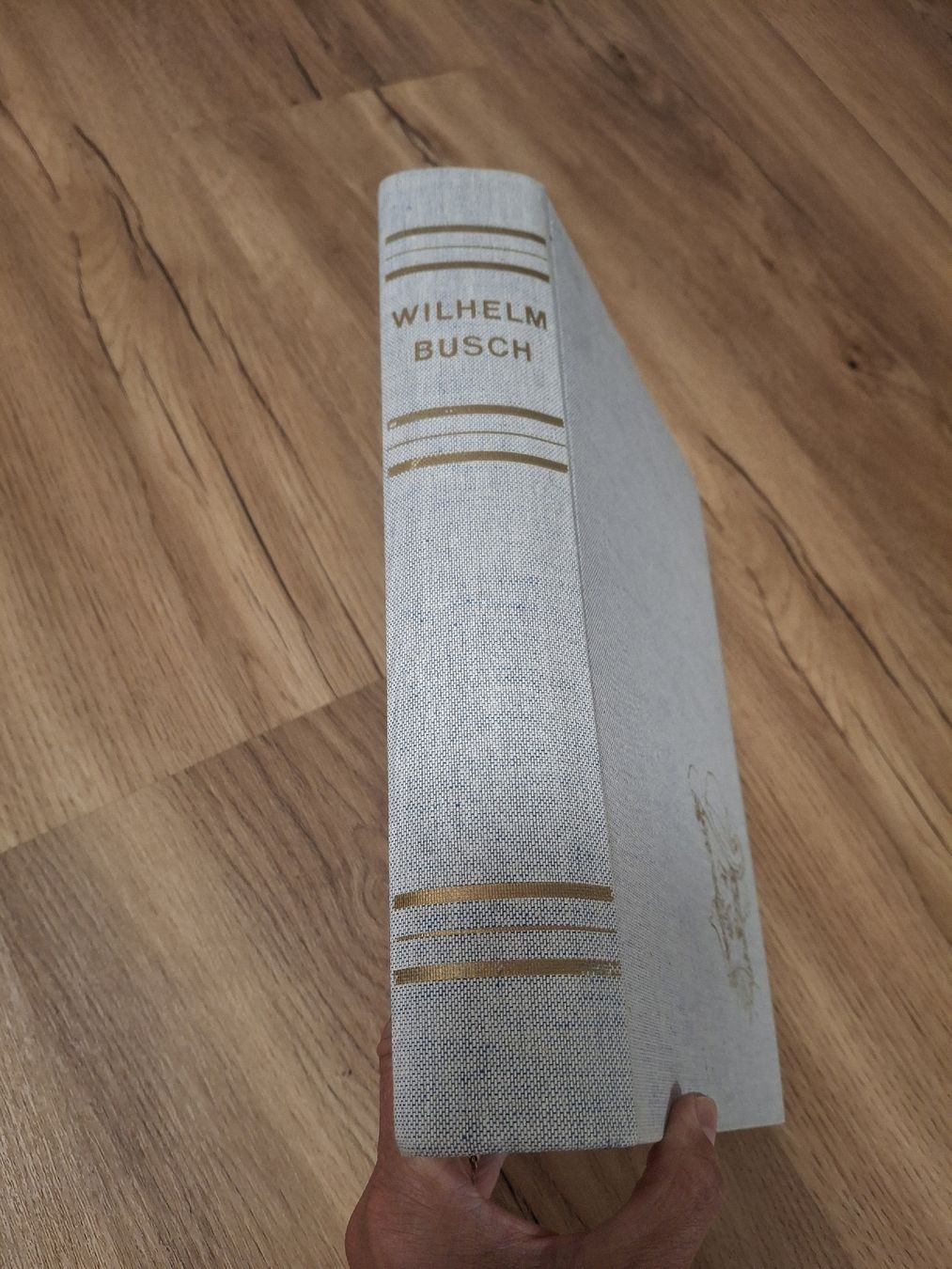 Bücher: Buch Wilhelm Busch Illustrationen – Gebraucht aus Bäriswil BE von vonys 1