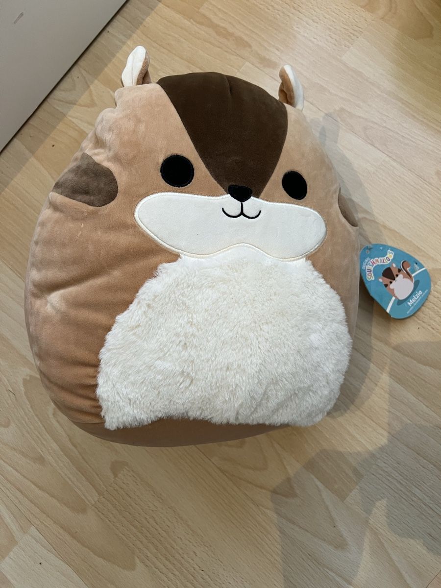 Squishmallows Spielzeuge: Squishmallows Stofftiere: Frosch, Wal, Eichhörnchen - Set! – Gebraucht aus Schaan von jassyb1 2
