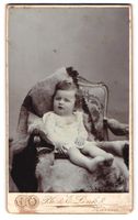 Fotografie Ph., E. Link, Zürich, Marktg