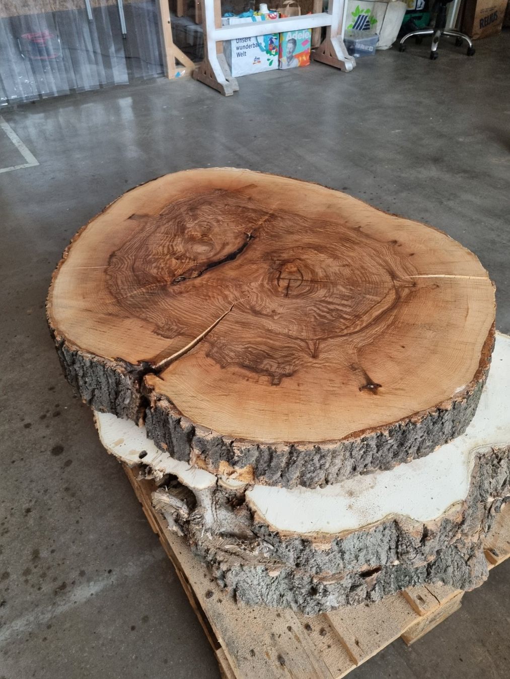 Holzartikel: Esche Baumscheibe Salontisch Baumstammtisch Couchtisch 12cm – Gebraucht aus Rheineck von Dein_Wunschholz 7