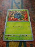 POKEMON  Tannza    I  DRI DE   004/182   KP70   2025