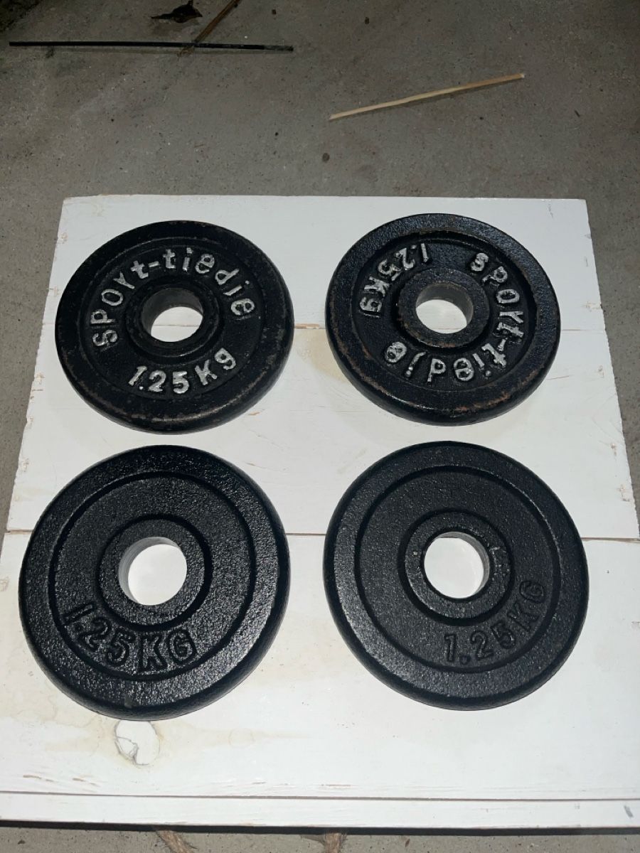 Manubri & Pesi: 4x1.25 kg Kurzhantelscheiben – Usato da Brugg AG venduto da kja_86hm