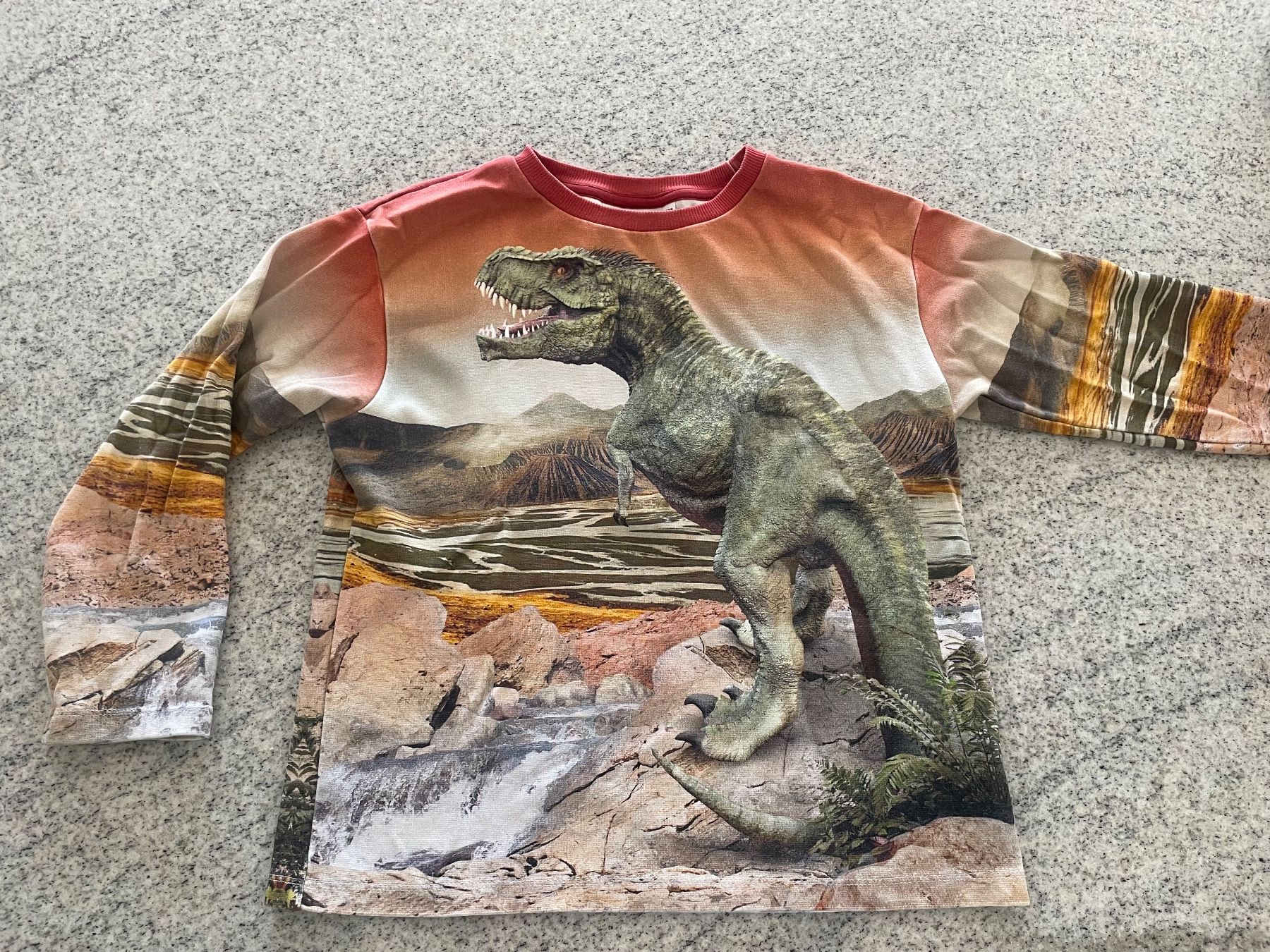 Molo Pullover & Sweatshirts: Pullover von MOLO – Gebraucht aus Neuwilen von bobbel01