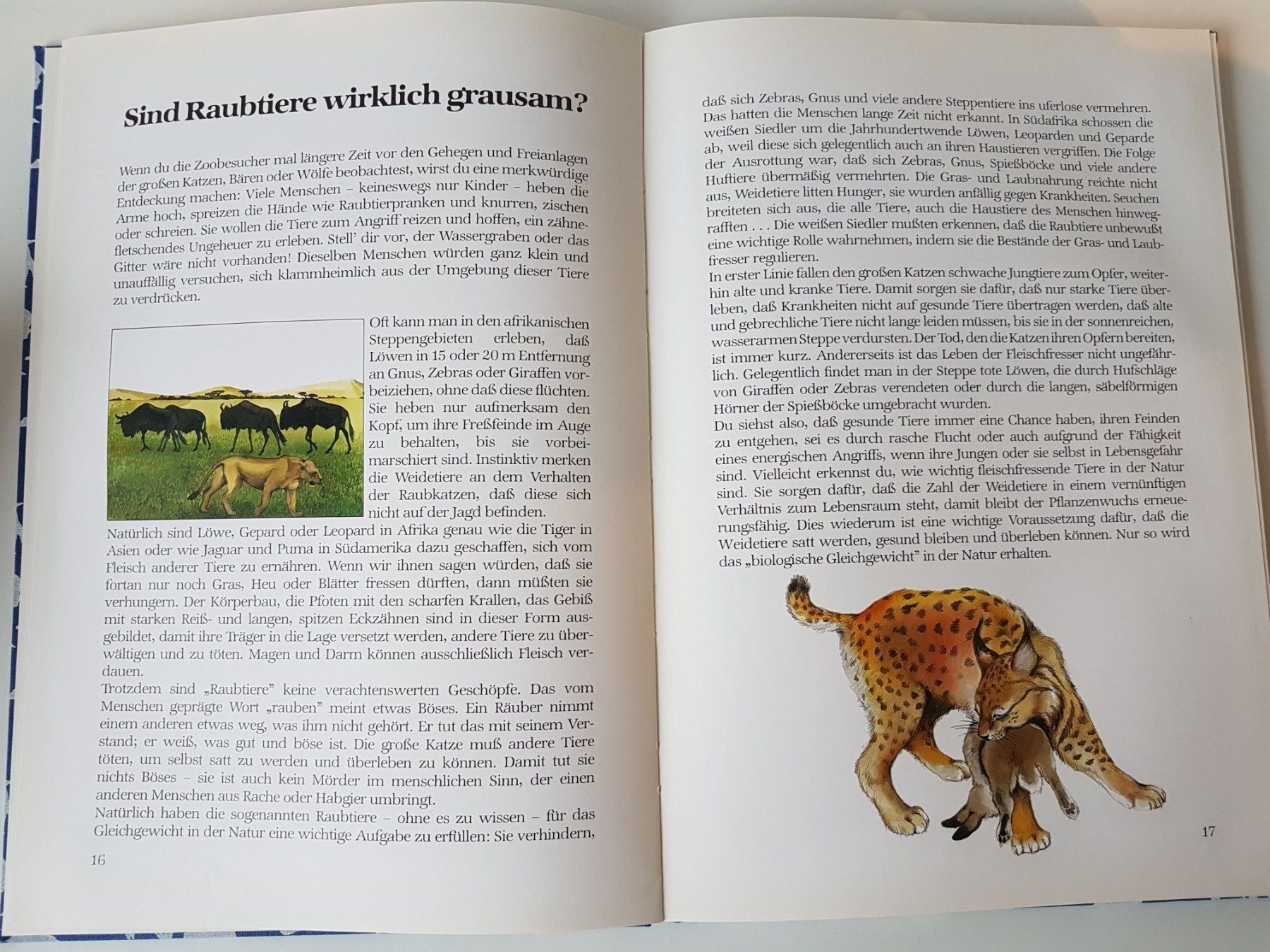 Libri: Das grosse Buch vom Zoo – Usato da Herrliberg venduto da Jummi 3