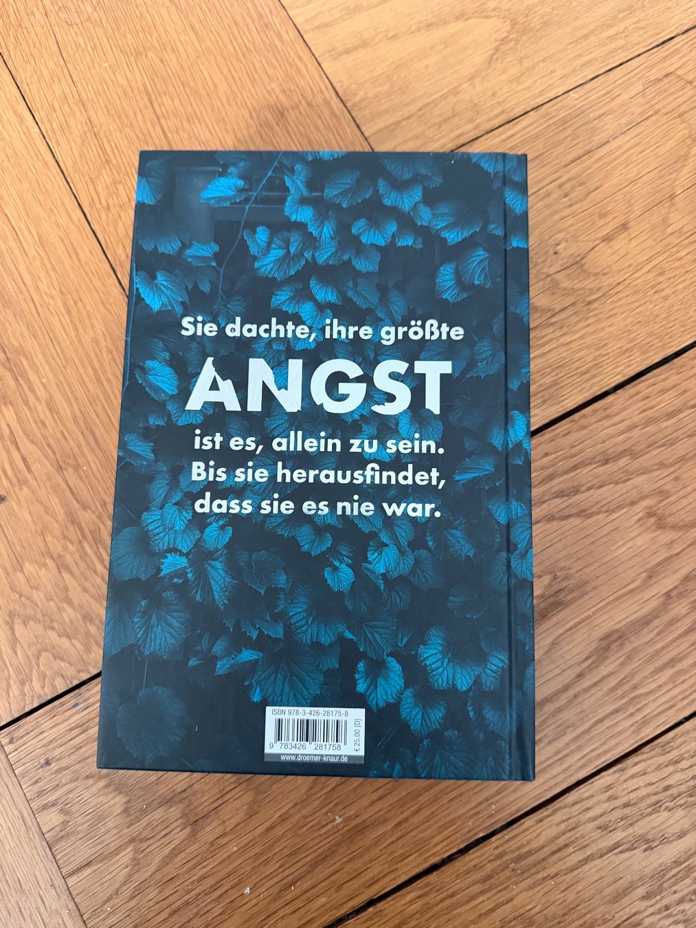 Libri: Sebastian Fitzek - Die Angst – Usato da Zürich venduto da chi_9dfb 1