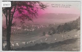 Ste. Croix - Vue prise depuis la Grangette, vache coloriert