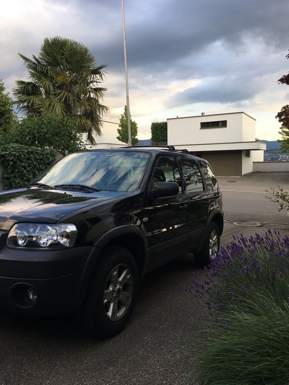 Ford Maverick 2.3 Kaufen auf Ricardo