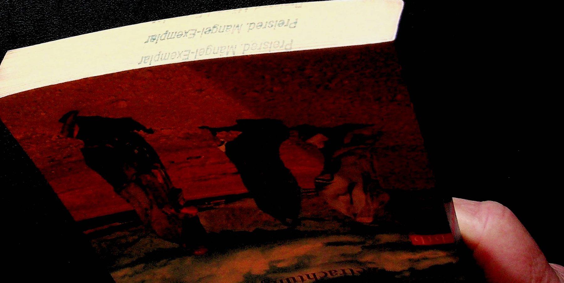 Livres: Doris Lessing Der Wind weht unsere Worte fort btb EA 2002 – D'occasion à Reitnau par Zaomir 2